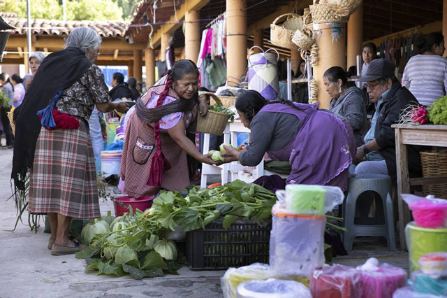 Chagosta, la tierra comestible de Veracruz en la alta cocina de Guadalajara   Arturo Araujo Bermúdez Polémicos sitios para comer en México atentado a  lo común